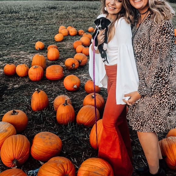 free people float on flare jean - Picture 1 of 4